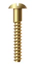 Gold metal bolt. Round slotted head fastener