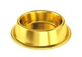 Gold metal empty pet bowl on white background
