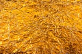 Gold metallic background, linen texture, bright festive background. Gold texture background. Gold foil texture Royalty Free Stock Photo