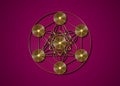 Gold Metatrons Cube, Flower of Life. Sacred geometry, graphic geometric elements. Mystic icon platonic solids, abstract geometric