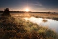 Gold misty sunrise on lake