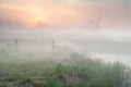 Gold misty sunrise over Dutch farmland with windmill