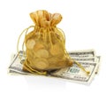 Gold Money Bag of Coins and Hundred Dollars Royalty Free Stock Photo