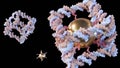 gold nanoparticles conjugated inside of DNA cube shape