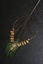 Gold necklace on peacock feather. Black background. Royalty Free Stock Photo