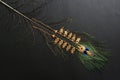 Gold necklace on peacock feather. Black background. Royalty Free Stock Photo