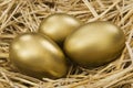 Gold nest egg