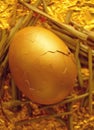 Gold nest egg