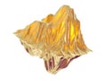 Gold Nugget