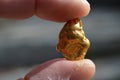 Gold nugget from the goldfields of Australia. Royalty Free Stock Photo