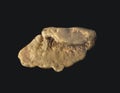 Gold nugget isolated.