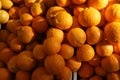 Gold Nugget Mandarin, Gold Nugget Tangarine Royalty Free Stock Photo