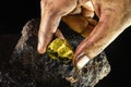 gold nugget in a miner's hand, hidden gold stone
