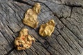 Gold nuggets on wood as background. Royalty Free Stock Photo