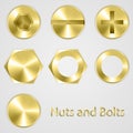 Gold Nuts and bolts. Vector illustration.