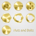 Gold Nuts and bolts. Vector illustration. Royalty Free Stock Photo
