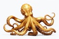 gold octopus on a white background