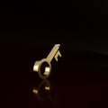 Gold Old key icon isolated on brown background. Minimalism concept. 3d illustration 3D render Royalty Free Stock Photo