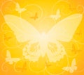 Gold Opaque Butterfly Background Royalty Free Stock Photo