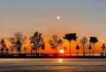 Gold orange sunset at pier promenade at seaside people and tree silhouette orange sun down sunbeam nature landscape Tallinn old to Royalty Free Stock Photo