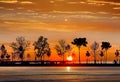 Gold orange sunset at pier promenade at seaside people and tree silhouette orange sun down sunbeam nature landscape Tallinn old to Royalty Free Stock Photo