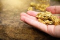 Gold ore found in the mine is in the hands Royalty Free Stock Photo