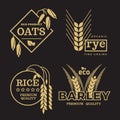 Gold organic wheat grain farming agriculture vector logo set on black background