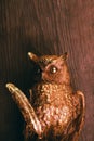 Gold owl figure studio Royalty Free Stock Photo