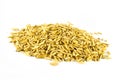 Gold paddy rice Royalty Free Stock Photo