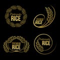 Gold paddy rice premium organic natural product banner logo on black background vector design