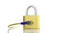 Gold padlock icon with internet access Royalty Free Stock Photo