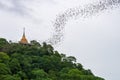 Gold pagoda with bats stream Royalty Free Stock Photo