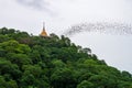 Gold pagoda with bats stream Royalty Free Stock Photo