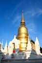 Gold pagoda wat suandok chiangmai thailand