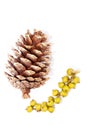 Gold painted pine cone Christmas decoration. Simple traditional Royalty Free Stock Photo