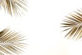 Gold palm leaves frame isolated on a white background. top view. Royalty Free Stock Photo