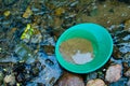 Gold panning goldpan filled with mineral rich soil, in gold bearing stream. Fun, recreational outdoor activity of prospecting.