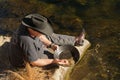 Gold panning Royalty Free Stock Photo