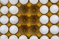 A gold pattern in a cardboard box, surrounded by white eggs, background, texture Royalty Free Stock Photo