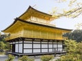 Gold pavilion in Kyoto