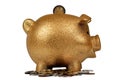 Gold Piggy Bank with Coins Royalty Free Stock Photo
