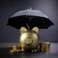 Gold Piggy bank with umbrella concept for finance insurance, protection, safe investment or banking Royalty Free Stock Photo