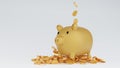 gold piggybank with pile of golden coins.coins flying around the bank isolate white background for commercial design,coins
