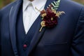 gold pin and burgundy flower boutonniere set against a navy blazer Royalty Free Stock Photo