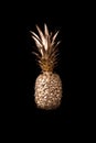 Gold pineapple on black background Royalty Free Stock Photo