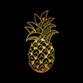 Gold pineapple print. Golden line icon on black background, exotic tropical sketch fruit, fresh whole ananas poster vector