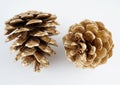 Golden pinecone. golden Christmas decoration. isolated on white background. Royalty Free Stock Photo