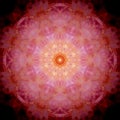 Gold Pink Harmony Mandala Rose Ornament Light Symmetry Meditation