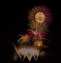 Gold, pink, orange, red, flower, blue, fireworks on a black backround Royalty Free Stock Photo