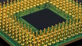 Gold Pins of a Central Processing Unit (CPU) Microchip Royalty Free Stock Photo